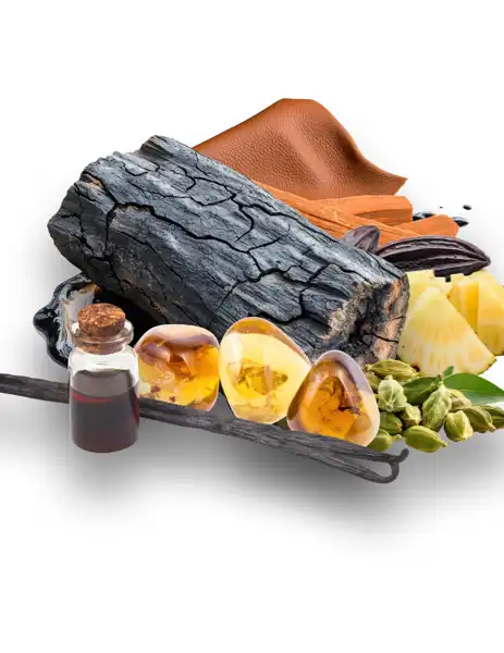 Rodeo Drive Clean Fragrance - Clean Fragrances